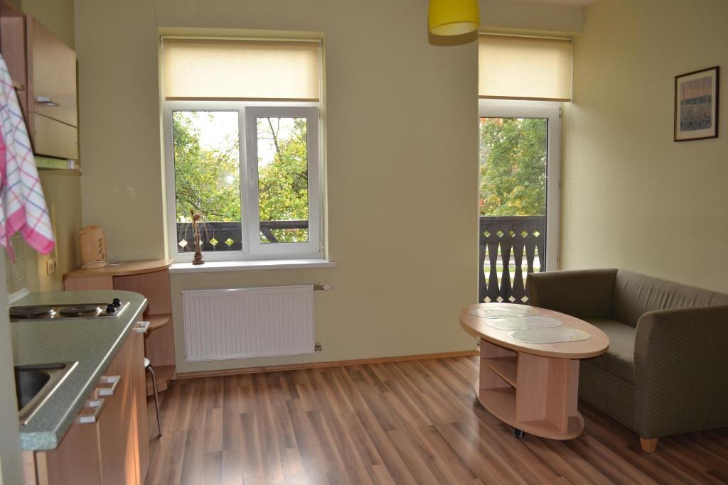 Vila Evelina Druskininkai Oda fotoğraf